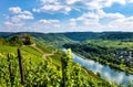 Mosel River landscape, Rhineland-Palatinate, Germany, Europe