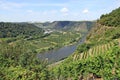 Mosel Valley