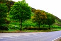 Mosel valley road at the steep vineyards in autumn Royalty Free Stock Photo