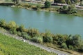 Mosel vally with vineyards and a classiv car passing