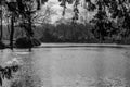 Moseley Park & Pool Fine Art 1