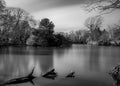 Moseley pool and park birmingham england long exposure mono fineart