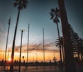 Moseley Square with silhouettes of long palm trees during sunset, Glenelg, Australia