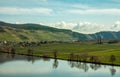 Moselle Landscape at Piesport vineyards spring Landscape