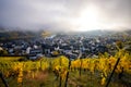 180-degree Moselle loop, vineyards, landscape and lighting in the morning, sunrise in autumn