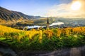 180-degree Moselle loop, vineyards, landscape and lighting in the morning, sunrise in autumn