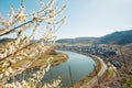 Moselle river bend in springtime, Rheinland-Pfalz, Germany Royalty Free Stock Photo