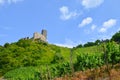 Moselle Valley Germany: View to vineyards and ruins of Landshut castle near Bernkastel-Kues Royalty Free Stock Photo