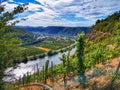 Moselle valley near Koblenz Royalty Free Stock Photo