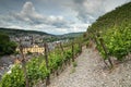 Moselsteig, Bernkastel, Germany Royalty Free Stock Photo