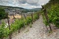 Moselsteig, Bernkastel, Germany Royalty Free Stock Photo