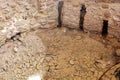 Moses Springs, Water wells and palms in Sinai Peninsula, Ras Sidr, Egypt.