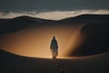 Moses in the Wilderness. The biblical Moses walks through the Sinai desert, a wilderness area, in search of the Promised Land.