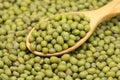 Mosh grain in wooden spoon Royalty Free Stock Photo
