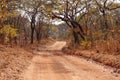 Moshi bush road chibembe kafue national park dust track dirt road