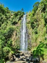 Moshi Materuni Waterfalls Kilimanjaro Tanzania Africa