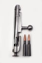 Mosin-Nagant Bolt Action with Shells (2) Royalty Free Stock Photo