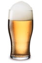 Mosit glass of light beer