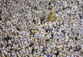 Moslem people from all around the world doing tawaf in Masjidil Haram, Mecca, Saudi Arabia, during hajj and umrah.