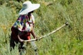 Mosotho Lady at work