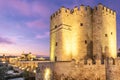 Mosque-Cathedral and the Roman Bridge with Callahora Tower Torre de la Calahorra at sunset in Cordoba, Andalusia, Spain Royalty Free Stock Photo