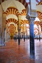 Mosque of Cordoba, Andalusia, Spain Royalty Free Stock Photo