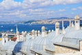 Mosque domes and Bosporus