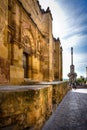 Mosque door and column of San Raphael Cordoba Spain