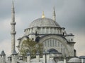Mosque, Istabul, Turkey. Royalty Free Stock Photo