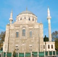 Mosque, Istambul, Turkey Royalty Free Stock Photo