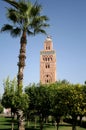 Mosque in Marrakesh #3