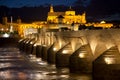 Mosque (Mezquita) and Roman Bridge at beautiful night, Spain,