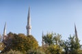 Mosque minarets behind trees