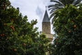 A mosque in Nicosia, Cyprus.