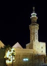 Mosque by night. Damascus, Syria Royalty Free Stock Photo