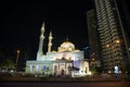 Mosque at night, Dubai, United Arab Emirates Royalty Free Stock Photo