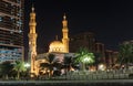 Mosque Night view in Sharjah Royalty Free Stock Photo