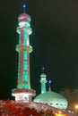 Mosque nightscape Royalty Free Stock Photo