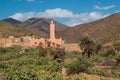 Mosque in an oasis in Morocco