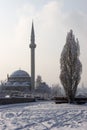 Mosque and poplar tree in winter, Erzurum, Turkey Royalty Free Stock Photo