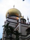 Mosque Sultan