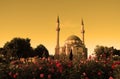 Mosque with two minarets Royalty Free Stock Photo