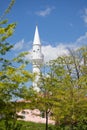 Mosque in Valea Dacilor Royalty Free Stock Photo