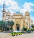 The mosques of Alexandria Royalty Free Stock Photo