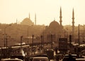 Mosques silhouettes Royalty Free Stock Photo