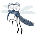 Mosquito Royalty Free Stock Photo