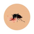 Mosquito bite on skin . Drinks the blood. Bloodsucking pest. illustration