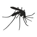 Mosquito silhouette close up