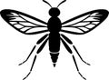 Mosquito - black and white vector illustration Royalty Free Stock Photo
