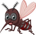 Mosquito cartoon Royalty Free Stock Photo